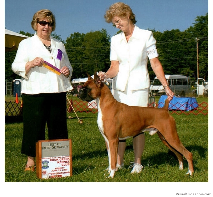Frankie takes BOB at the Rock Creek KC on June 29, 2009 under judge Mrs. Polly D. Smith.
