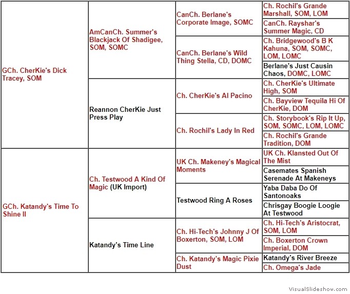 Pedigree - Ch. Katandy's Timeline Wildfire CGC "Katie"