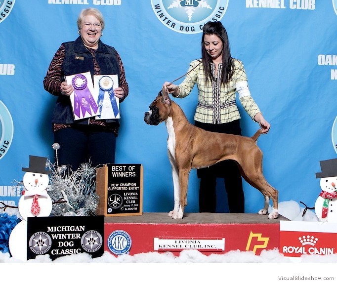 Katie takes WB, BW and the final point to complete her AKC championship requirements at the Livonia KC show on January 17, 2019 under judge Mrs. Sharon Ann Redmer, handled by Heather Christine Buehner.