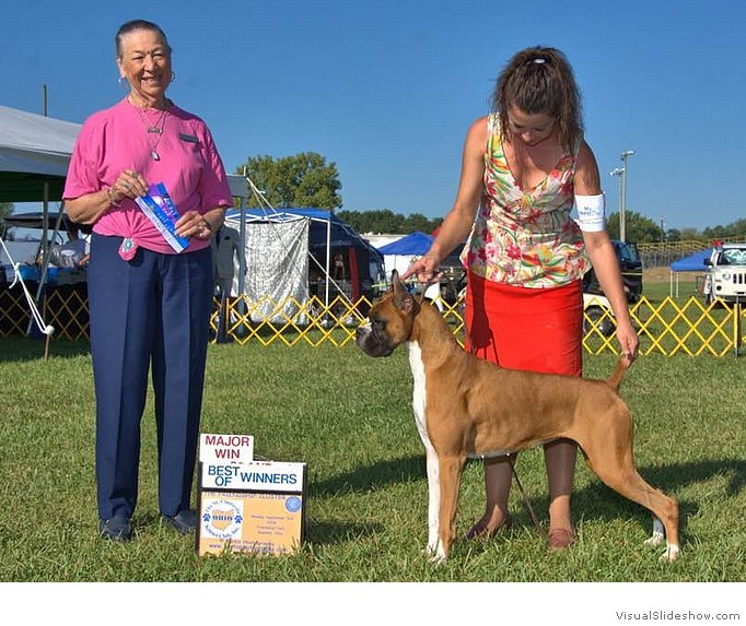 Katie takes WB, BW, and her first major at the St. Clairsville Ohio KC show on September 3, 2018 under judge Ms. Carolyn A. Herbel, handled by Heather Buehner Helmer.