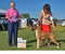 Katie takes WB, BW, and her first major at the St. Clairsville Ohio KC show on September 3, 2018 under judge Ms. Carolyn A. Herbel, handled by Heather Buehner Helmer.