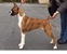 Kelsei - 7 months