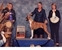 Kelsei takes WB and a 5 point
                                    major (from the 6-9 Brindle class)
                                    at the ABC Regional Specialty (held
                                    in conjunction with the Salisbury KC
                                    show) on November 11, 2017 under
                                    judge Ms. Bridget J. Brown, handled
                                    by Wendy Bettis.