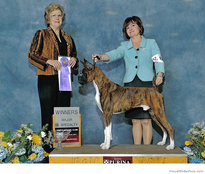 Kimmo takes WD and a 4 point major at the Bronx County KC show on March 27, 2011 under judge Mrs. Cheryl C. Robbins.