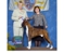 Kimmo takes WD and a 4 point major at the Mason and Dixon KC show on April 15, 2012 under judge Mrs. Terry L. Berrios.