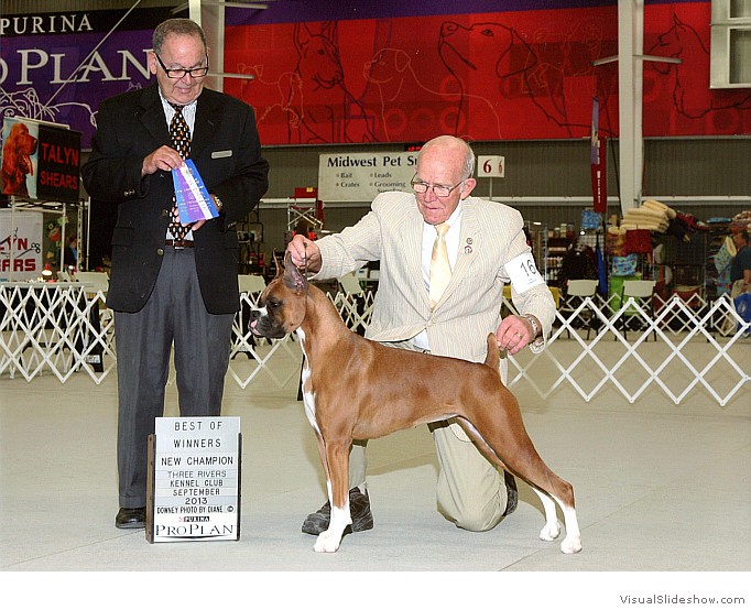 Lark takes WB & BW at the Three Rivers KC on September 14, 2013 under judge Dr. Ronald I. Spritzer.