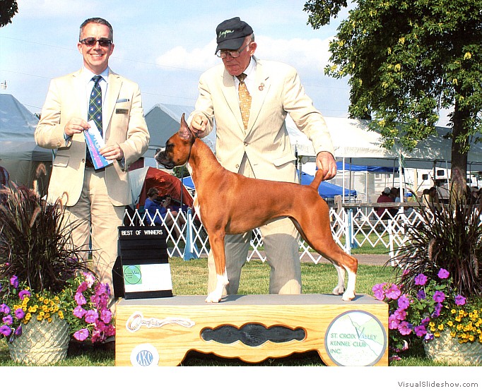 Lark takes WB & BW at the St. Croix Valley KC show on August 24, 2013 under judge Mr. Jim Owens.