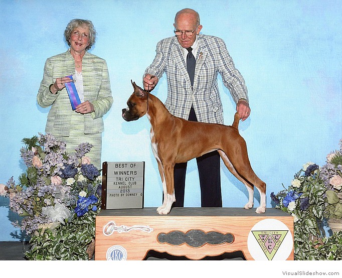 Lark takes WB & BW at the Tri-City KC on August 30, 2013 under judge Mrs. Sulie Greendale-Paveza.