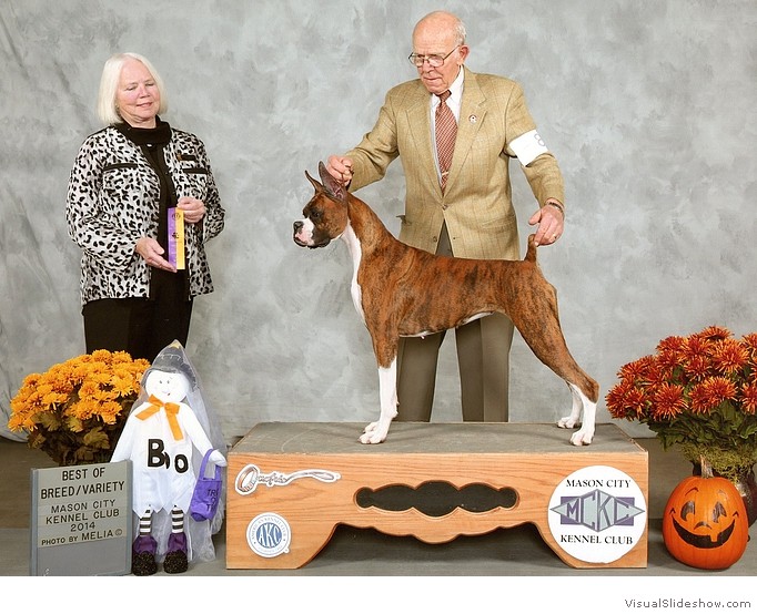 Meadow takes WB, BW, and BOB at the Mason City KC show on October 11, 2014 under judge Ms. Carolyn I. Alexander, handled by Stan Flowers.