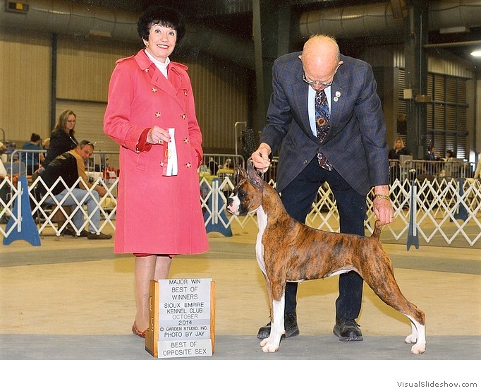 Meadow takes WB, BW, BOS and a major win at the Sioux Empire KC show on October 26, 2014 under judge Mrs. Barbara Dempsey Alderman, handled by Stan Flowers.