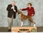 Meadow takes WB, BW, and a 4 point major to complete her AKC championship requirements at the Central Iowa KC show on January 17, 2015 under judge Mr.Terry Stacy, handled by Jane Flowers.