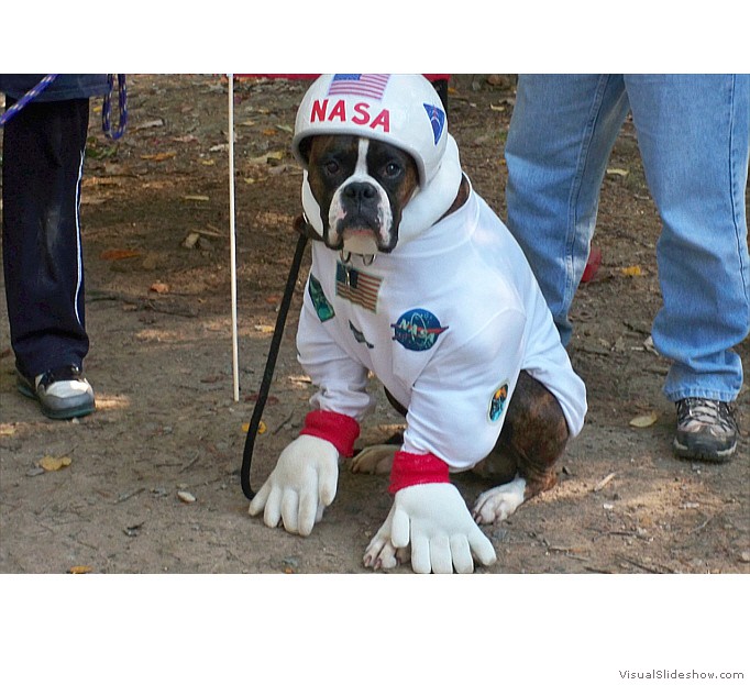 Newman's ready for BLASTOFF!!