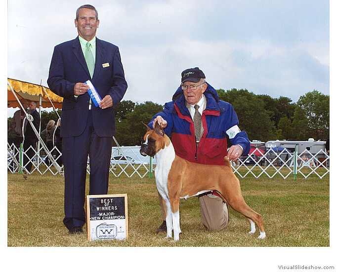 Ricki takes WB, BW and her 2nd 4
                                point major to complete her AKC
                                championship requirements at the
                                Waukesha KC show on July 28, 2013 under
                                judge Mr. Dana P. Cline.