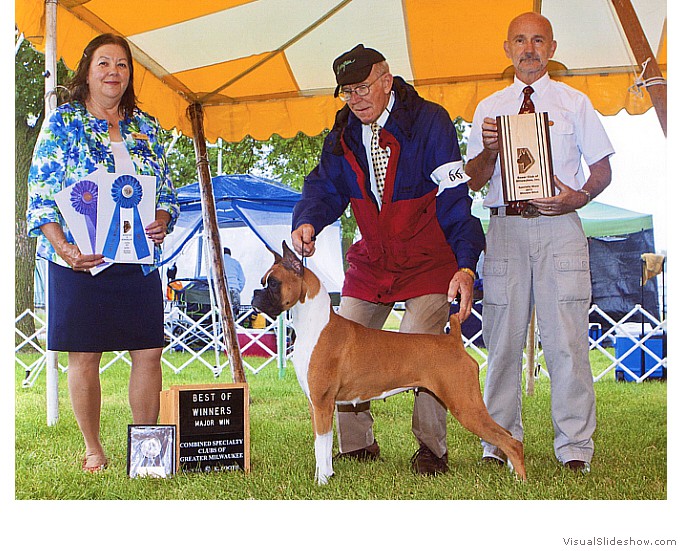 Ricki takes WB, BW and a 4 point
                                major at the Boxer Club of Milwaukee
                                Specialty on July 26, 2013 under judge
                                Mrs. Shilon L. Bedford.