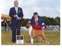 Ricki takes WB, BW and her 2nd
                                    4 point major to complete her AKC
                                    championship requirements at the
                                    Waukesha KC show on July 28, 2013
                                    under judge Mr. Dana P. Cline.