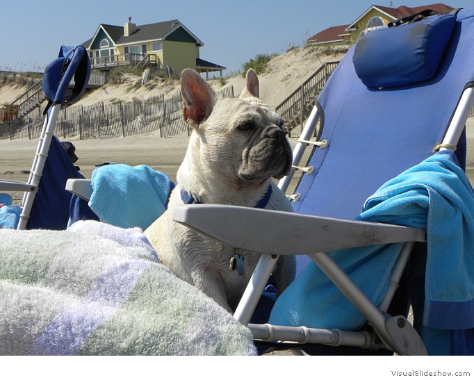 Roger relaxing at the beach!