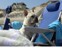 Roger relaxing at the beach!