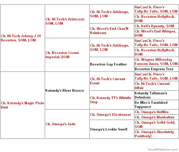 Pedigree - Katandy's Time Line "Tessa"